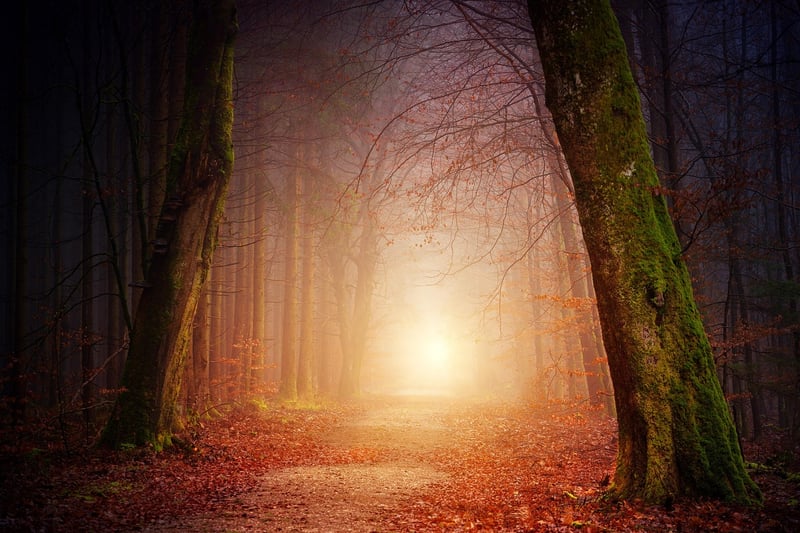 Landscape Path