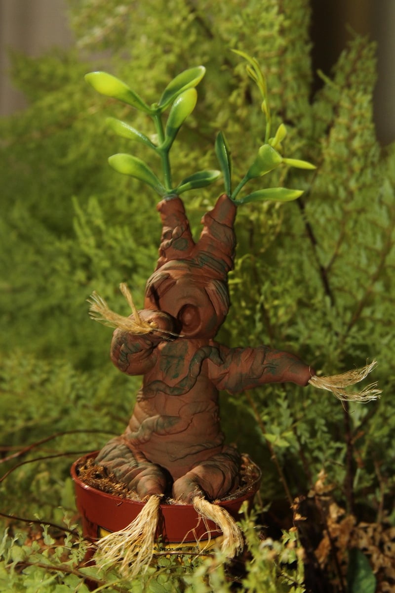 Magical Mandrake